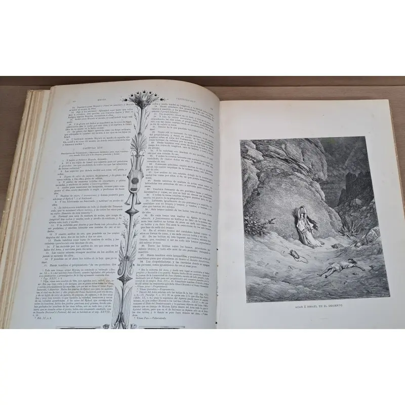 La Sagrada Biblia, por Félix Torres Amat, ilustrada. Año 1884, 3 tomos · vista 4/12