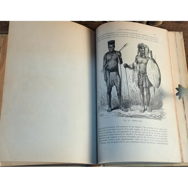 Historia natural 1891 - colección completa 13 tomos - antropología, zoología, botánica y geología, Curiosidade · vista 7/12