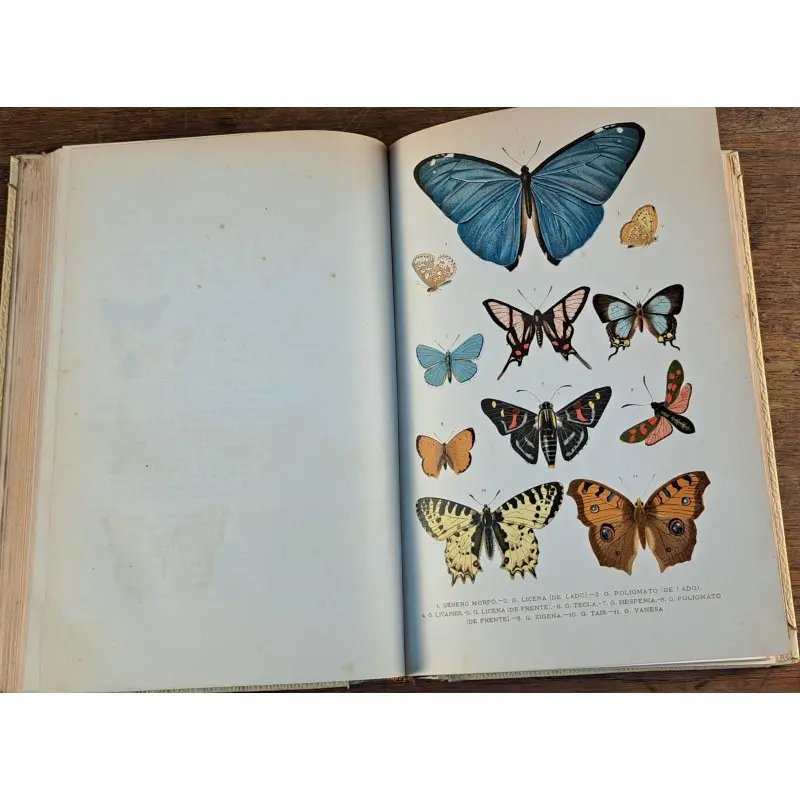 Historia natural 1891 - colección completa 13 tomos - antropología, zoología, botánica y geología, Curiosidade · vista 9/12