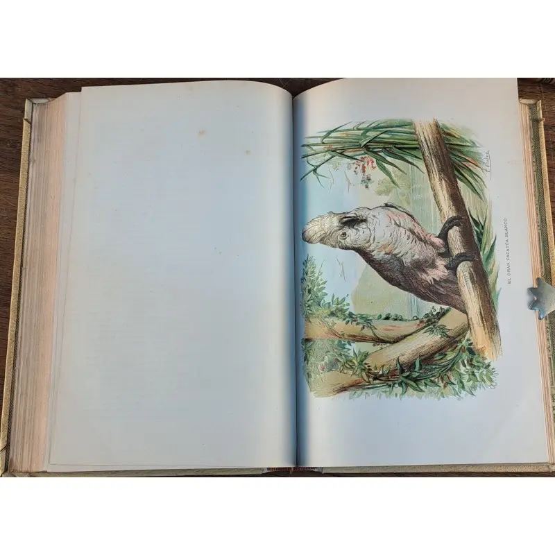 Historia natural 1891 - colección completa 13 tomos - antropología, zoología, botánica y geología, Curiosidade · vista 12/12