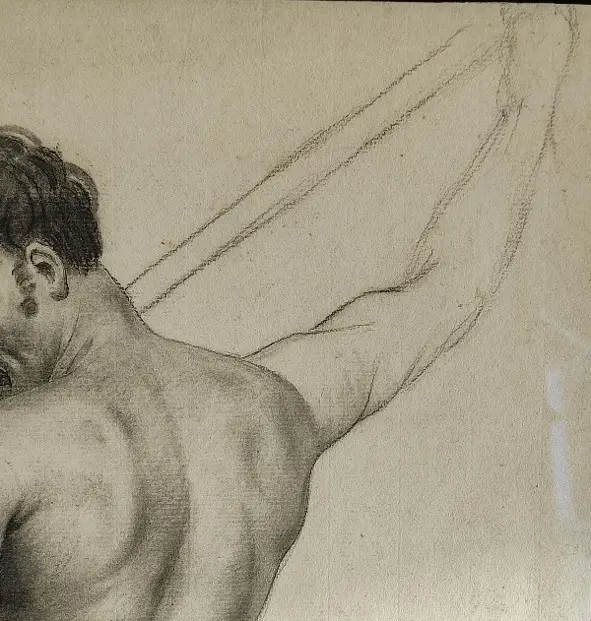 Desnudo masculino · vista 3/5